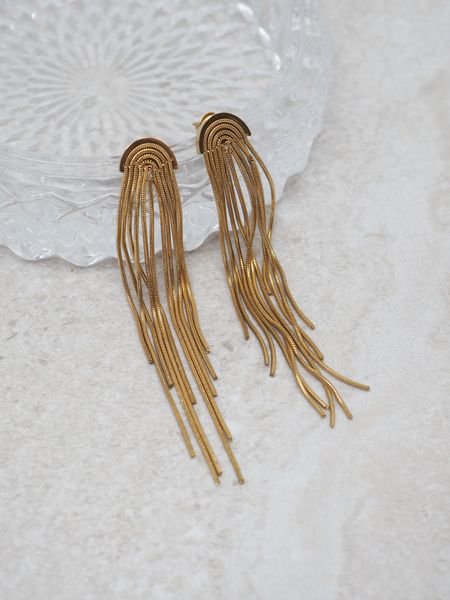 Hovedbilde Øredobber med frynser i stål